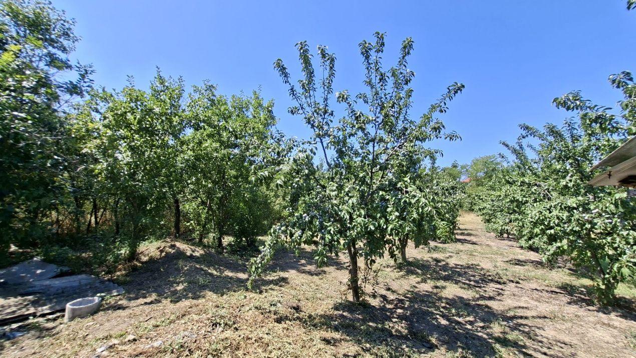Casa Teiu Deal 84 mp toate conditile mutare imediata - 16