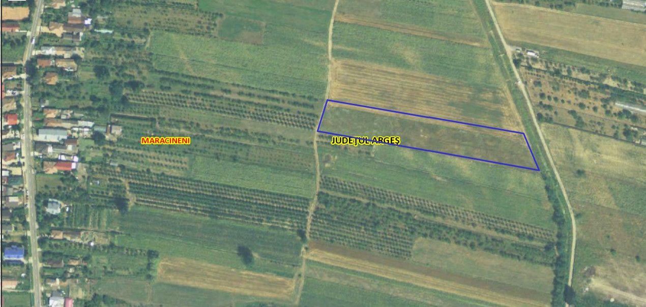Oportunitate de investitie! Teren intravilan Maracineni 7545 mp - 4