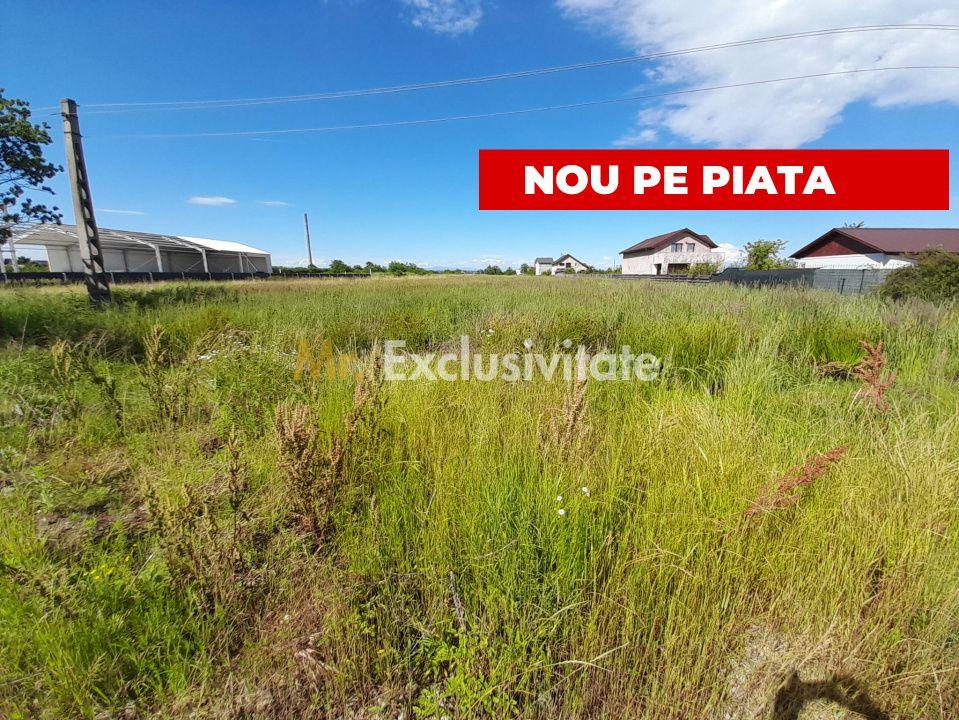 Teren intravilan Bradu 1312 mp 2 deschideri - 1
