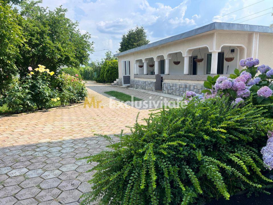Casa visurilor cu 4000 mp livada roditoare si gradina Darmanesti-Arges - 1