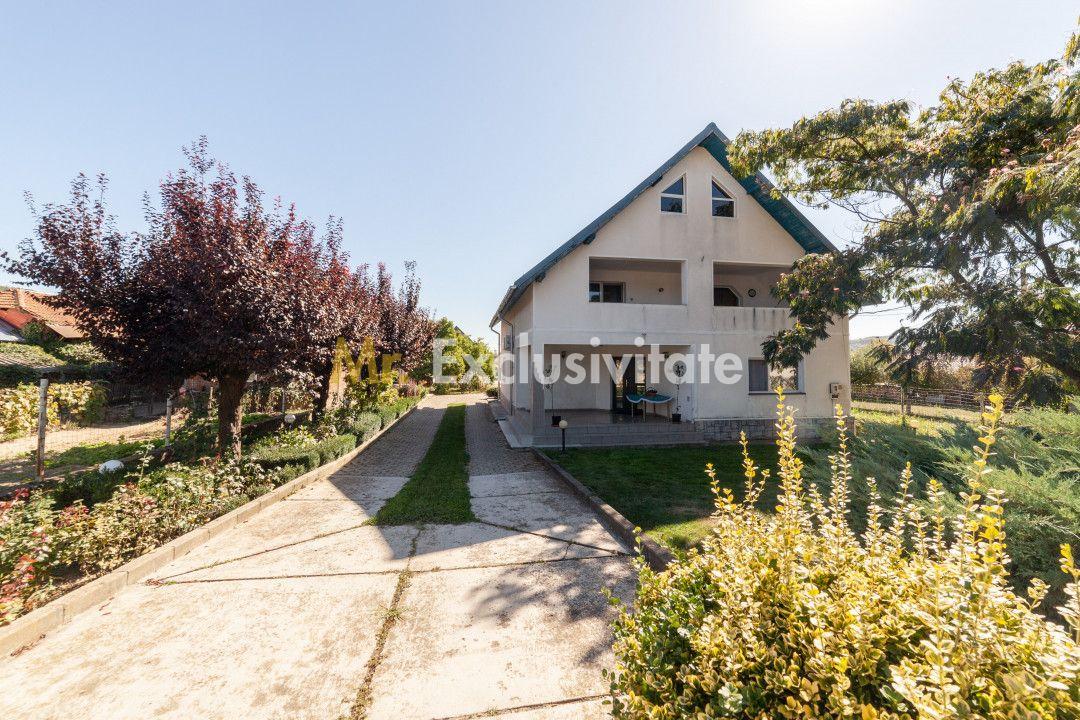 Casa visurilor cu 4000 mp livada roditoare si gradina Darmanesti-Arges - 24