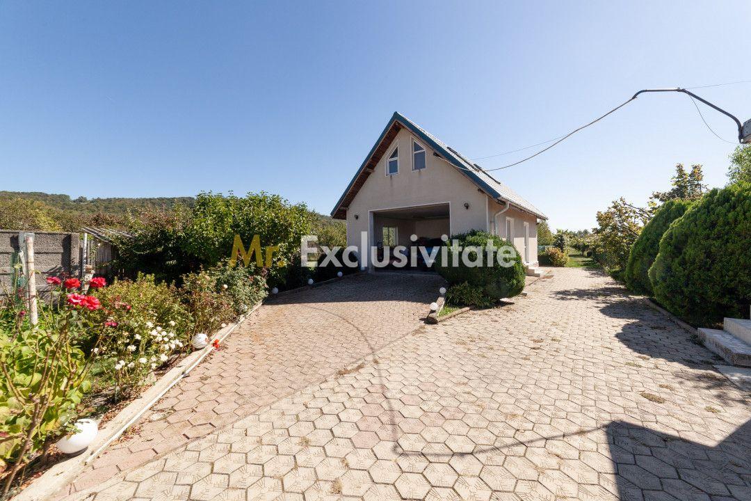 Casa visurilor cu 4000 mp livada roditoare si gradina Darmanesti-Arges - 16
