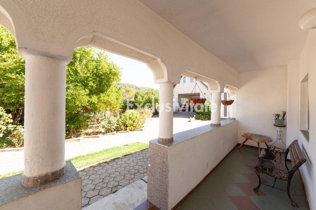 Casa visurilor cu 4000 mp livada roditoare si gradina Darmanesti-Arges - 11