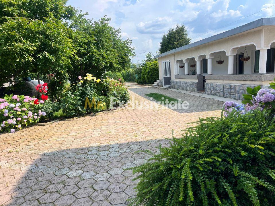 Casa visurilor cu 4000 mp livada roditoare si gradina Darmanesti-Arges - 29