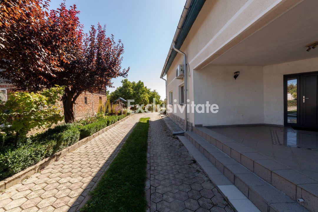 Casa visurilor cu 4000 mp livada roditoare si gradina Darmanesti-Arges - 5