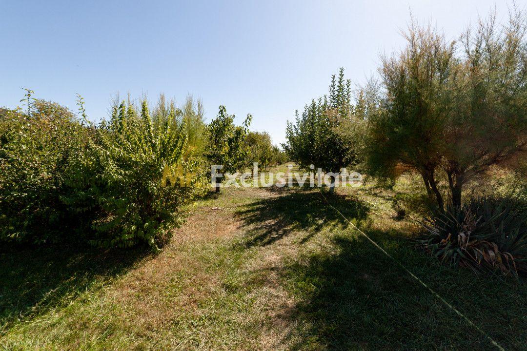 Casa visurilor cu 4000 mp livada roditoare si gradina Darmanesti-Arges - 6