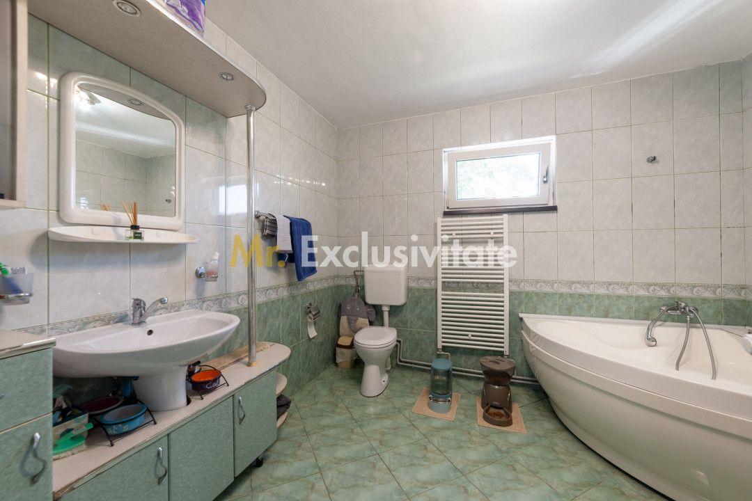 Casa visurilor cu 4000 mp livada roditoare si gradina Darmanesti-Arges - 21