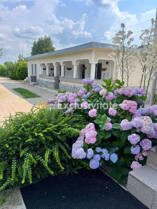 Casa visurilor cu 4000 mp livada roditoare si gradina Darmanesti-Arges - 27