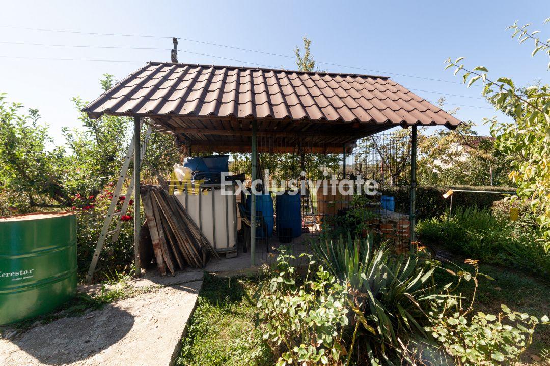 Casa visurilor cu 4000 mp livada roditoare si gradina Darmanesti-Arges - 26