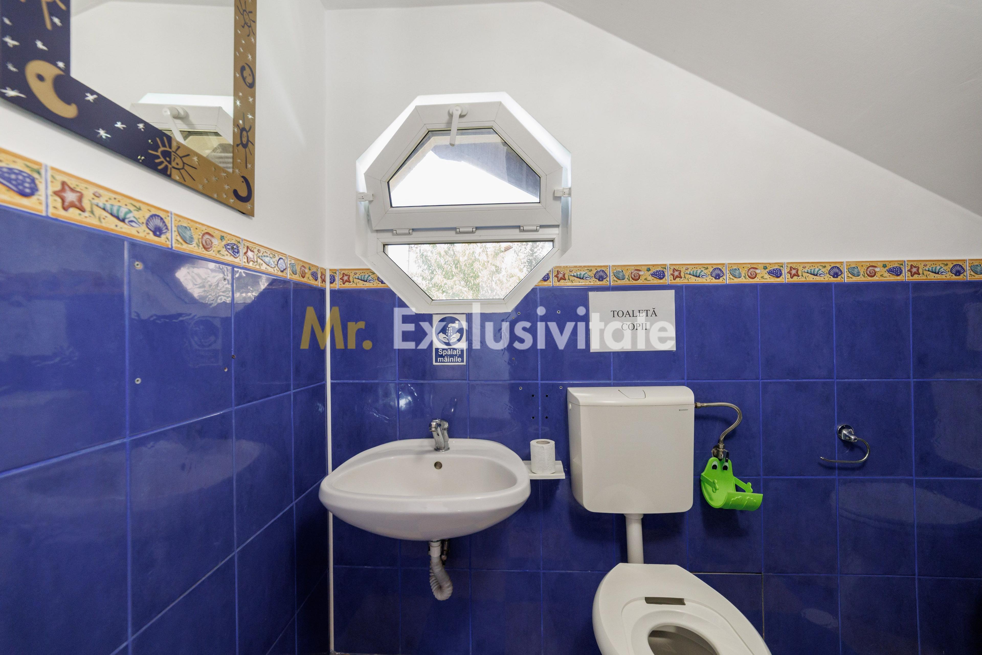 Proprietate multifunctionala | Doua cladiri | 581 mp | Pitesti - 8