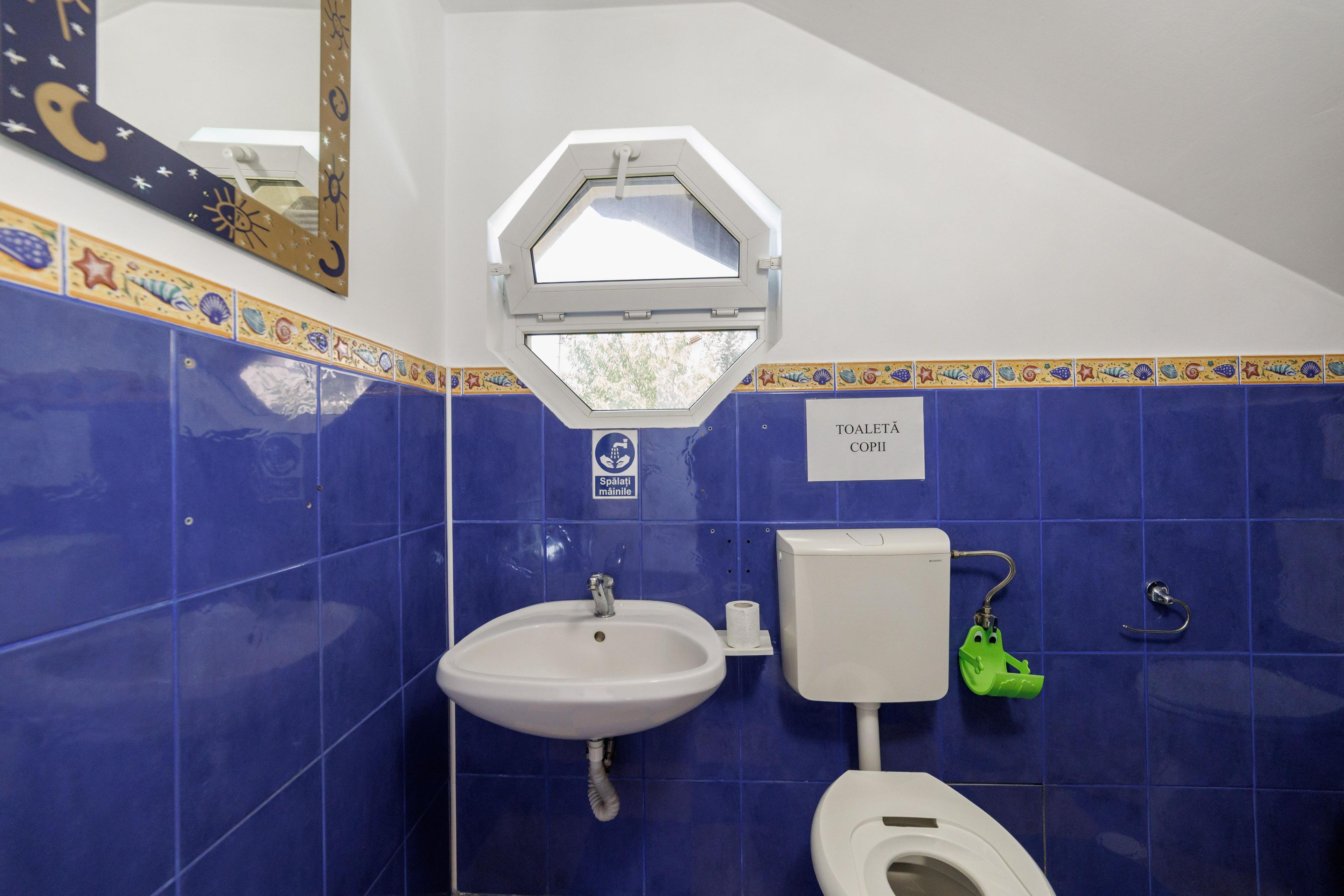 Proprietate multifunctionala | Doua cladiri | 581 mp | Pitesti - 8