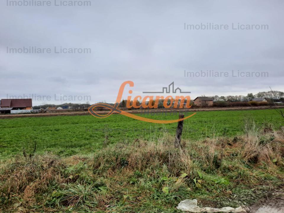 Teren intravilan Stupini ,Central, 823mp,Utilitati,83000 eur - 8