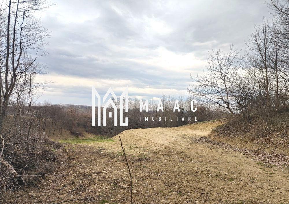 Teren extravilan agricol 1.184 mp | Sibiel | utilități la 100 m - 7