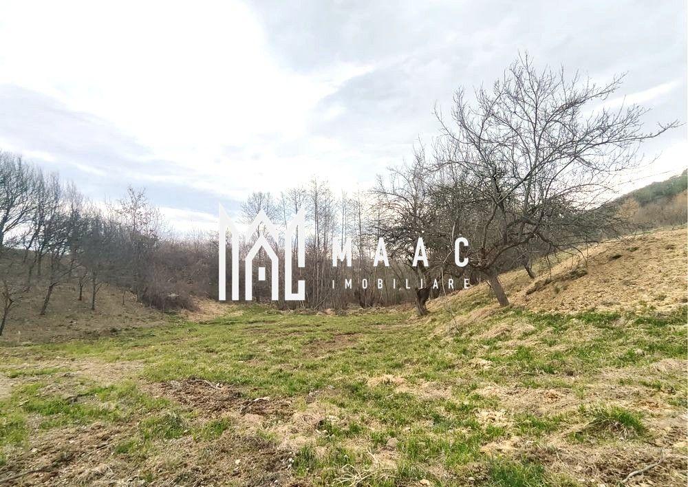 Teren extravilan agricol 1.184 mp | Sibiel | utilități la 100 m - 4