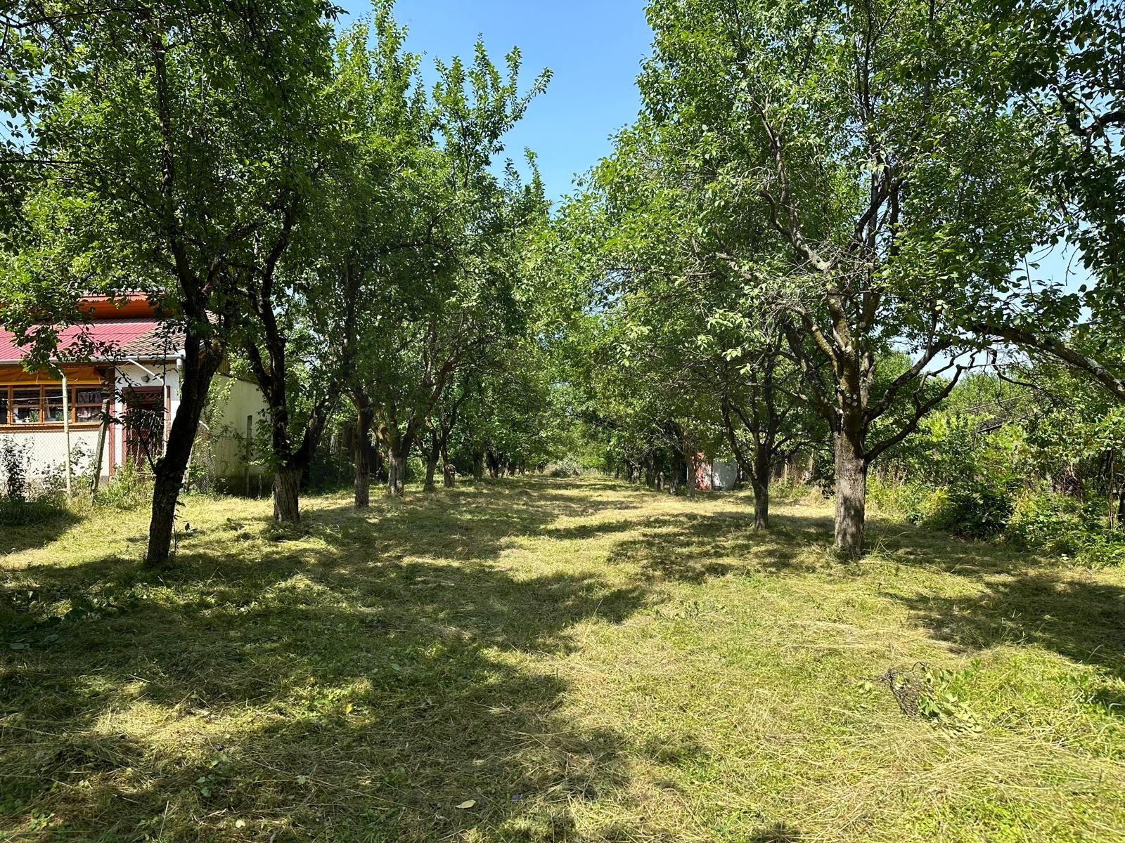 Teren 2000 mp, cu utilitati, pozitionare deosebita, Tocile - 2