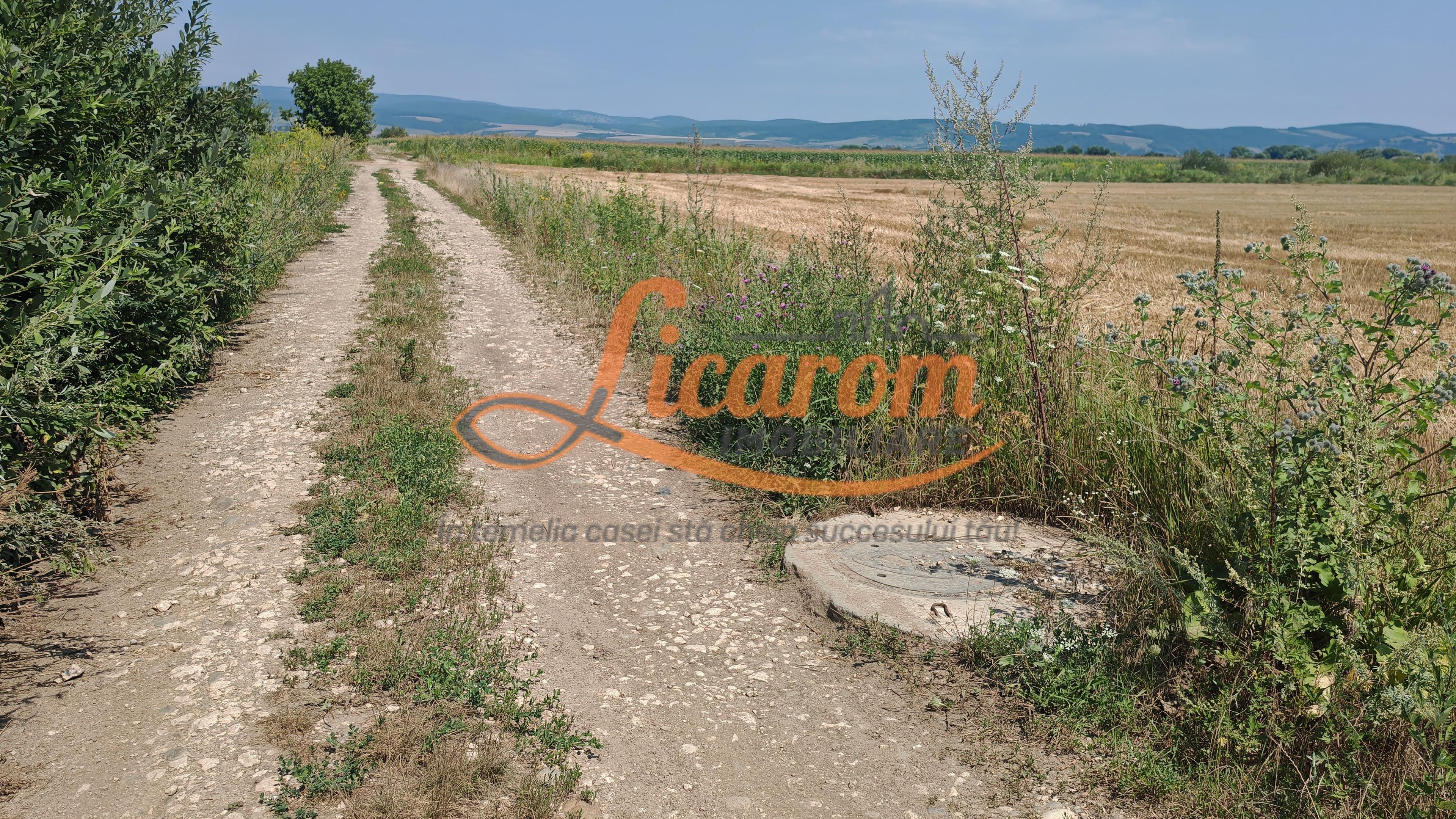 Teren intravilan 3,85 ha,Brasov DN 13 langa MILLE, OLYMPUS, ARKADA - 7