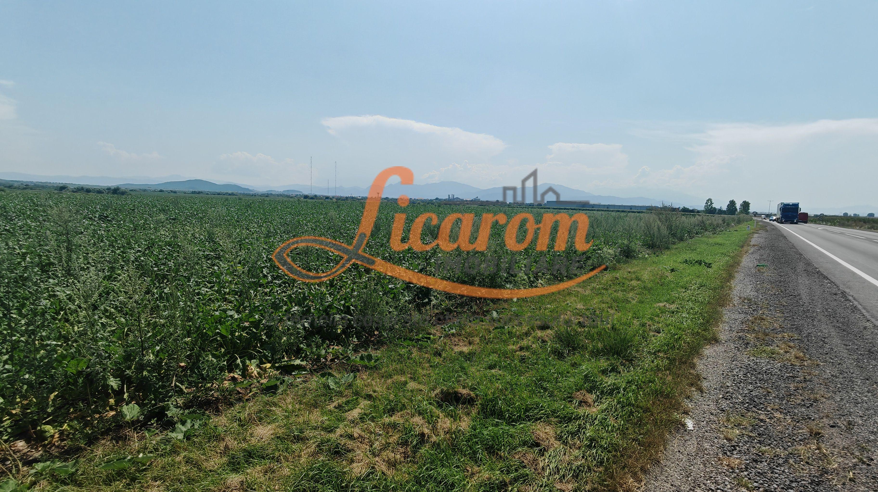 Teren intravilan 3,85 ha,Brasov DN 13 langa MILLE, OLYMPUS, ARKADA - 2