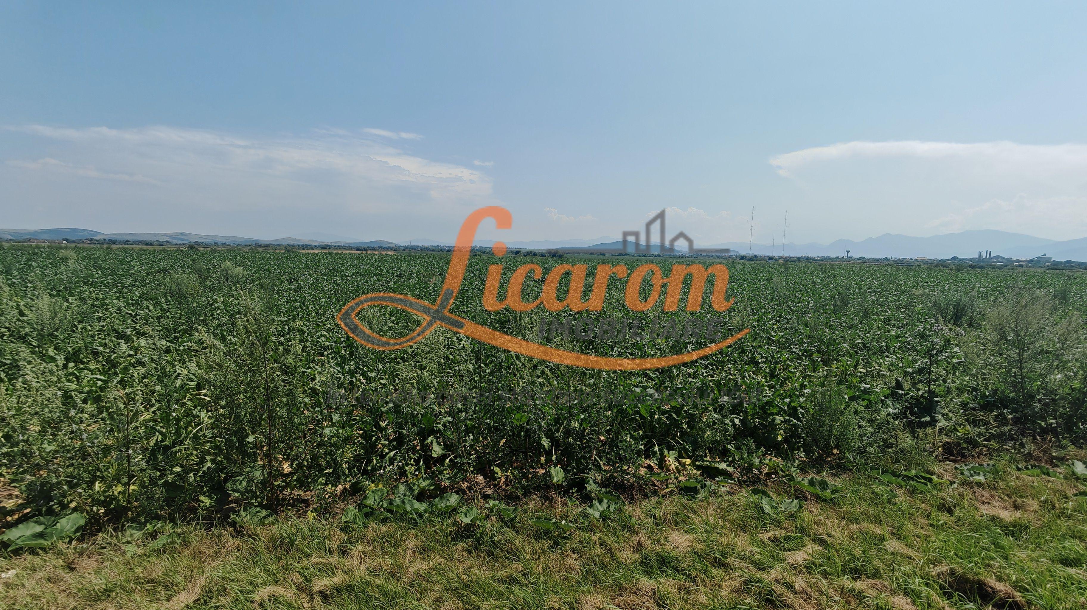 Teren intravilan 3,85 ha,Brasov DN 13 langa MILLE, OLYMPUS, ARKADA - 3