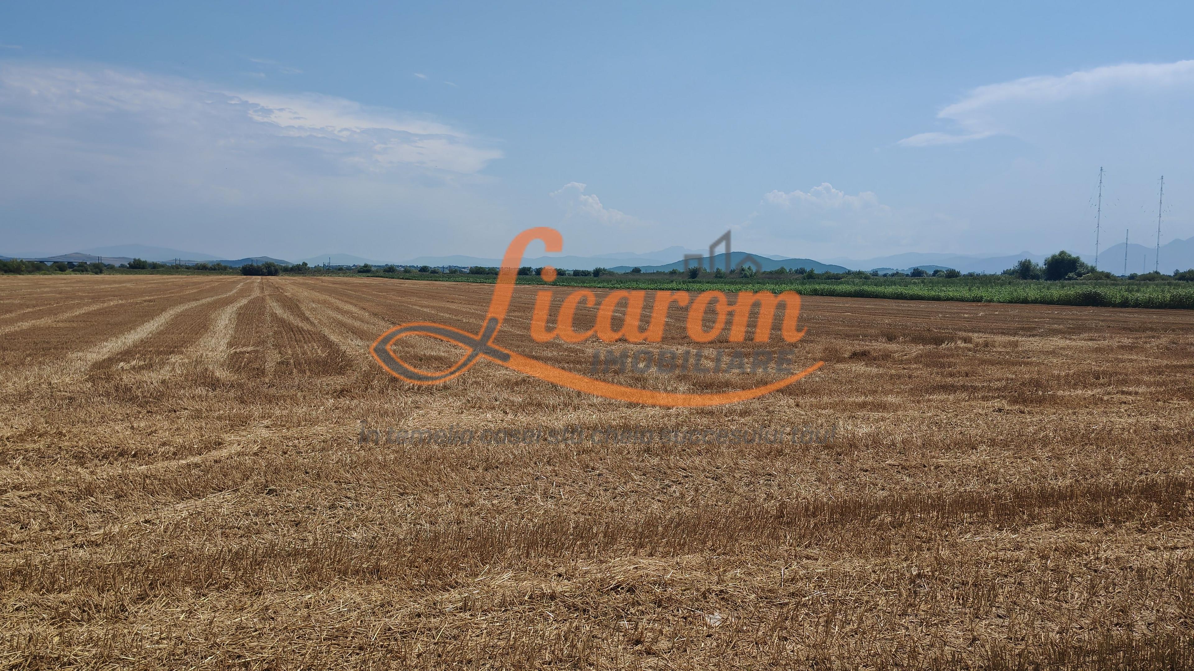 Teren intravilan 3,85 ha,Brasov DN 13 langa MILLE, OLYMPUS, ARKADA - 5