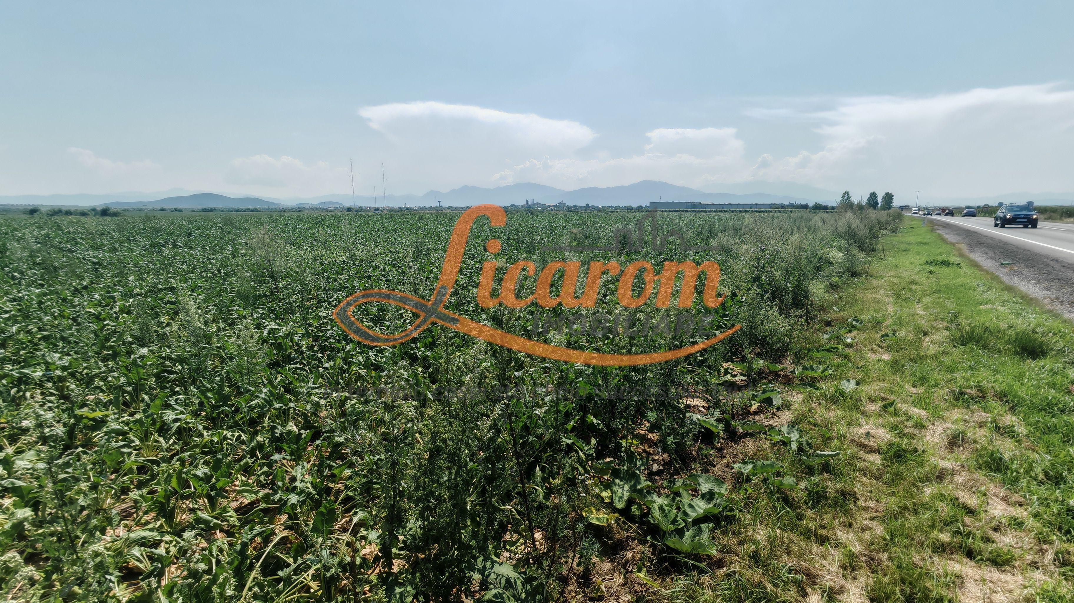 Teren intravilan 3,85 ha,Brasov DN 13 langa MILLE, OLYMPUS, ARKADA - 4