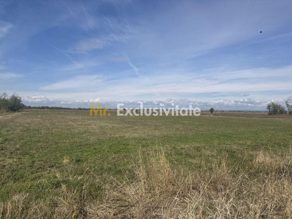 Teren Intravilan com. Ratesti - 1