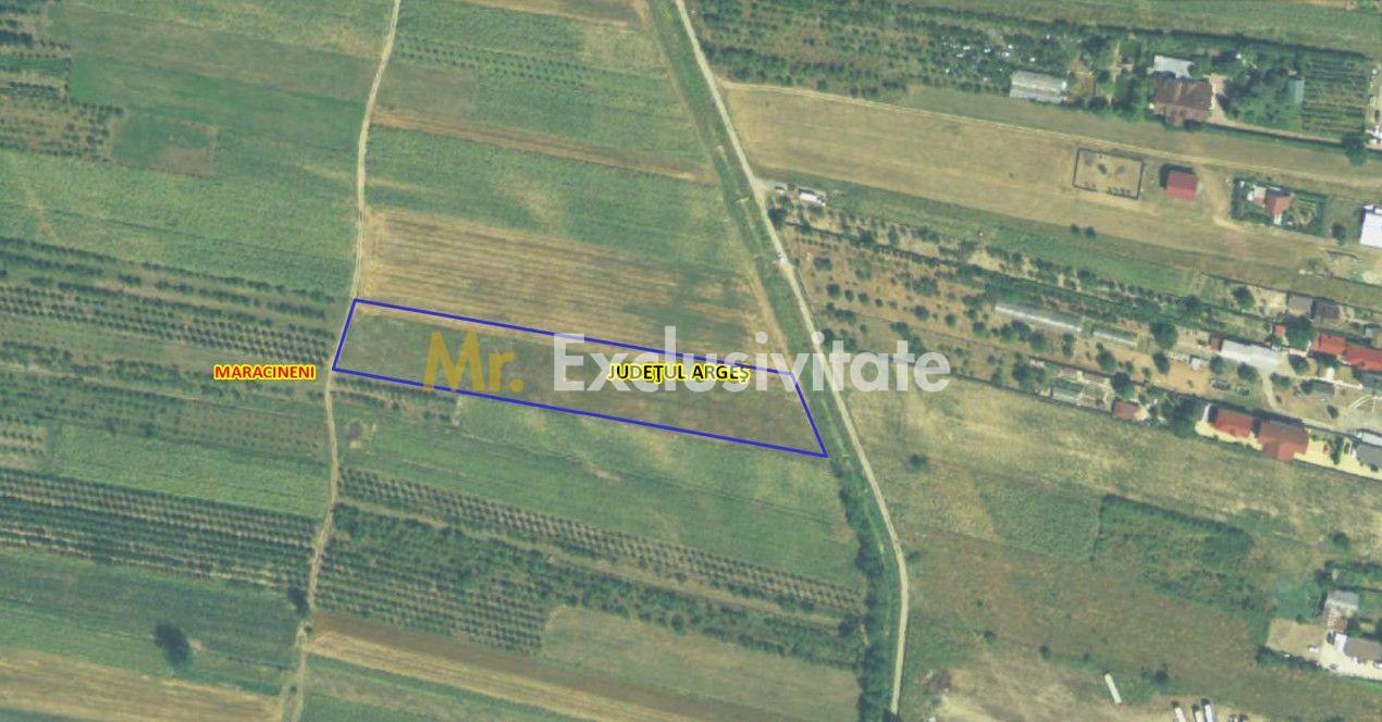 Teren intravilan 7.545 mp în ideal rezidențial sau hale - 2