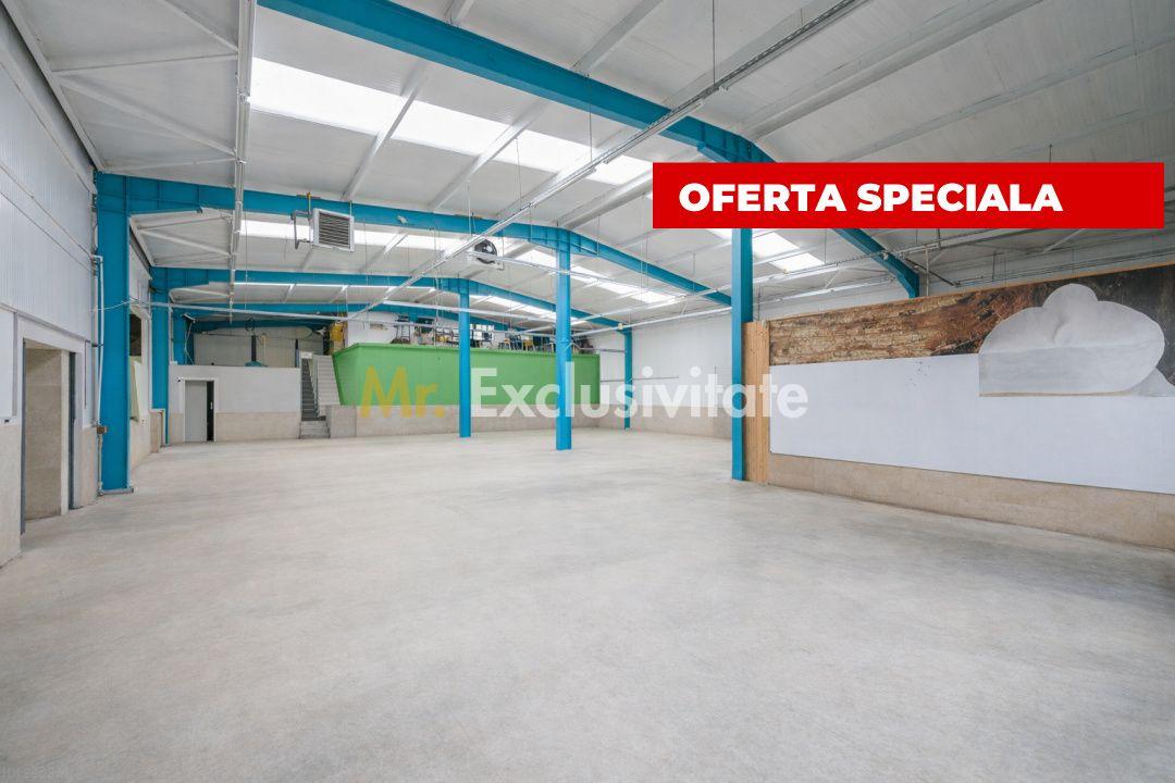 HALA INDUSTRIALA 595 MP | DN 65B – BRADU | CURTE 1.466 MP | AUTOSTRADA - 1