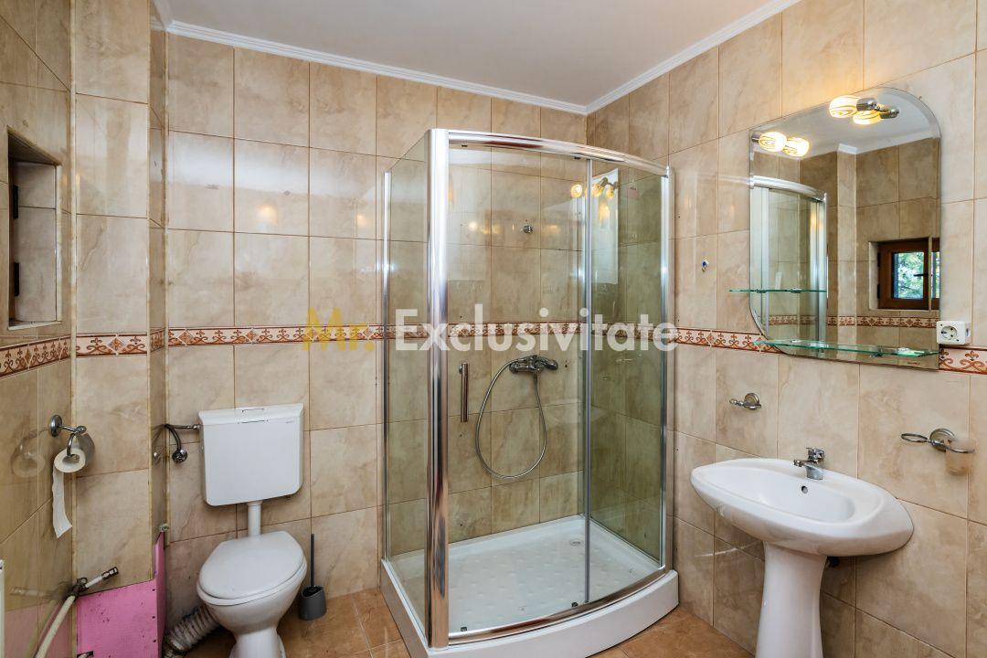Proprietate premium vis-a-vis de noul Stadion Nicolae Dobrin - 37