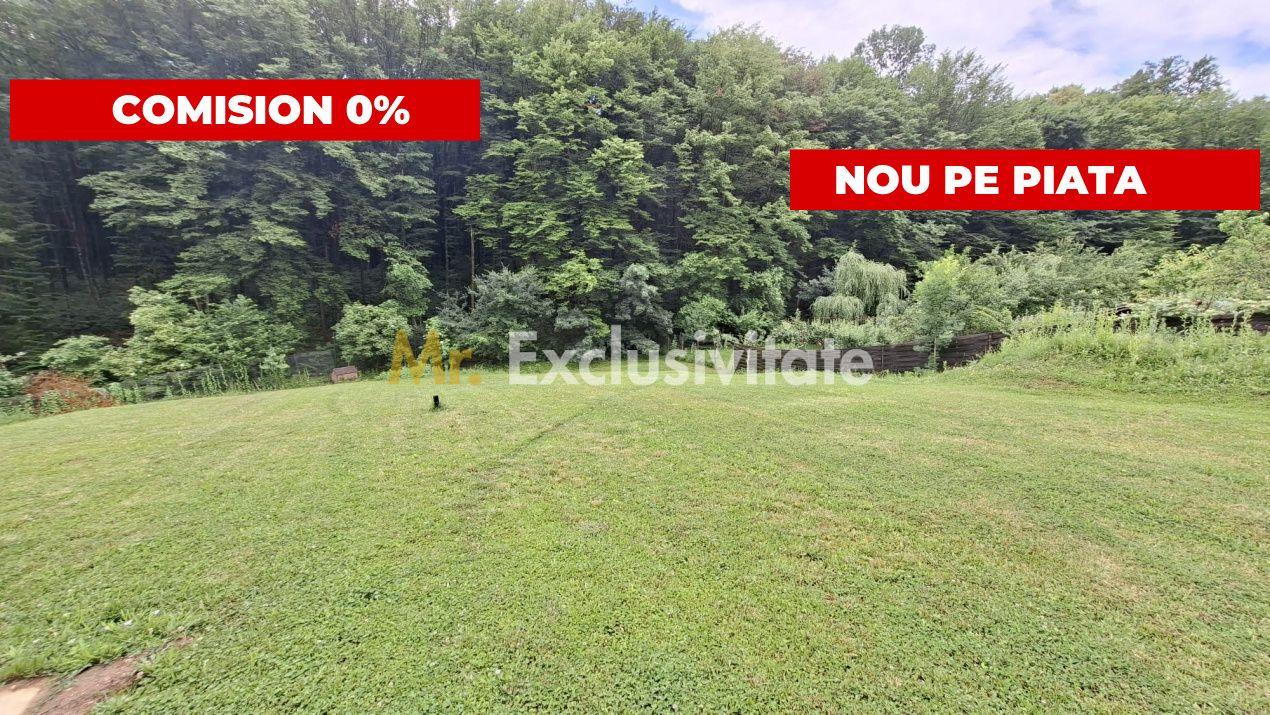 Teren intravilan 1203 mp Bascov-Florea zona Superba - 1
