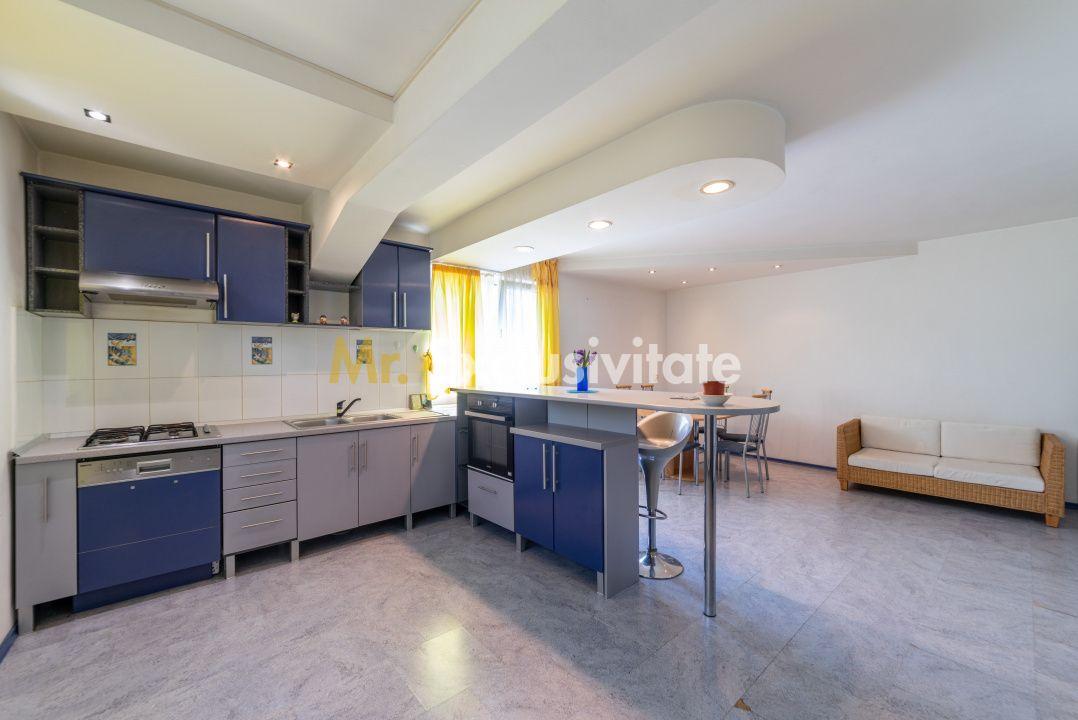 Apartament pe 2 nivele - 6 camere Gavana 3 + 309 mp curte proprie - 18
