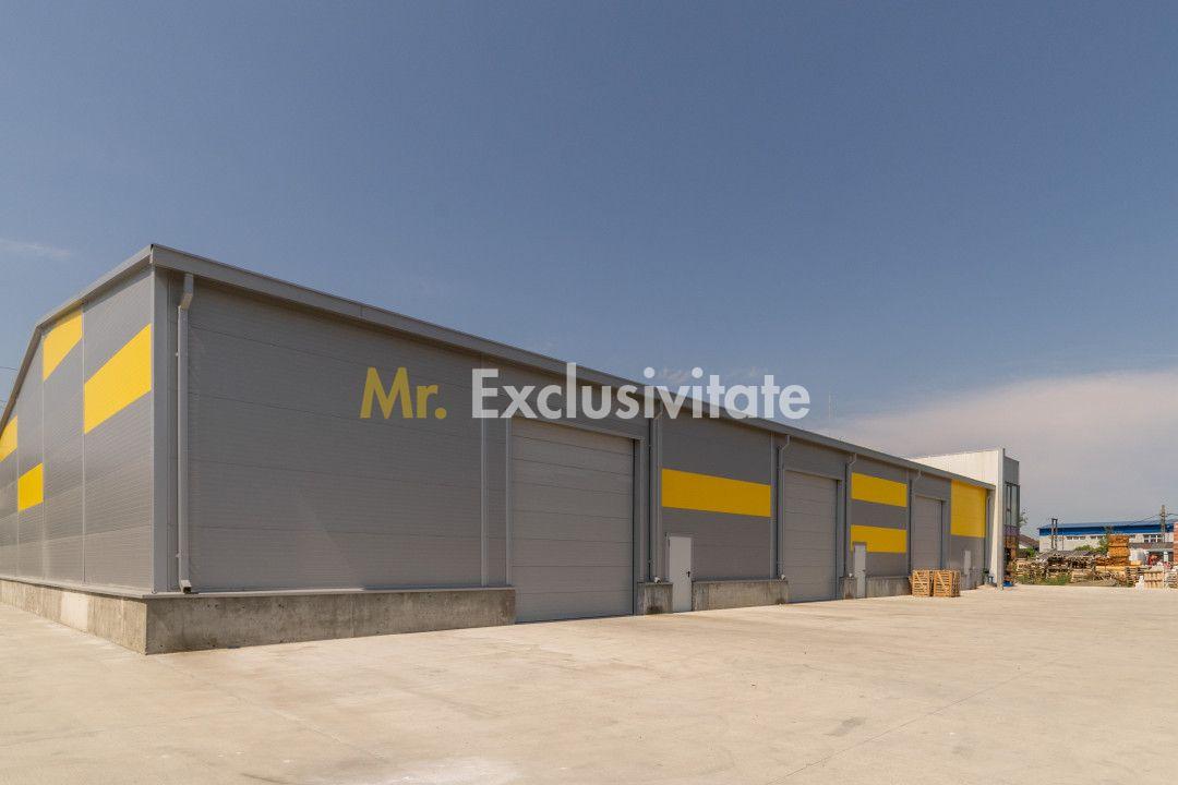 Inchiriere hala noua zona Bascov la DN 7C - 12