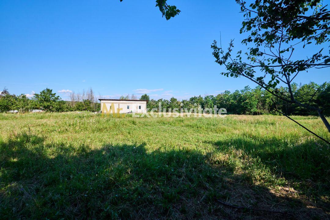Teren Intravilan 1100 mp + Anexă 120 mp - Budeasa, Calotesti! - 11