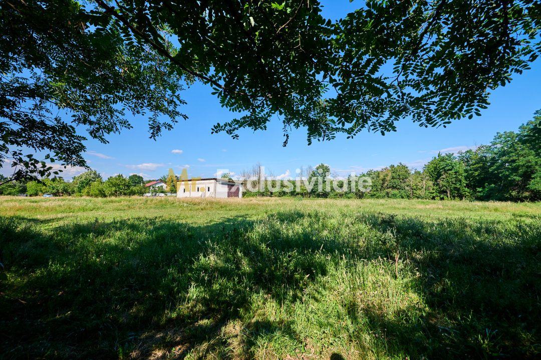 Teren Intravilan 1100 mp + Anexă 120 mp - Budeasa, Calotesti! - 3