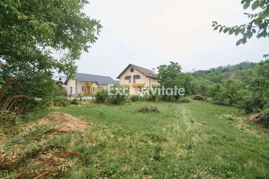 Teren 2240 mp intravilan + casa batraneasca Hintesti-Basangesti - 5