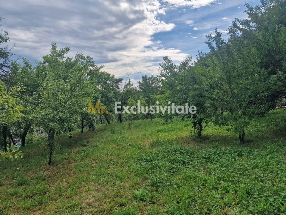 Teren intravilan 1400 mp - Albota ! - 5