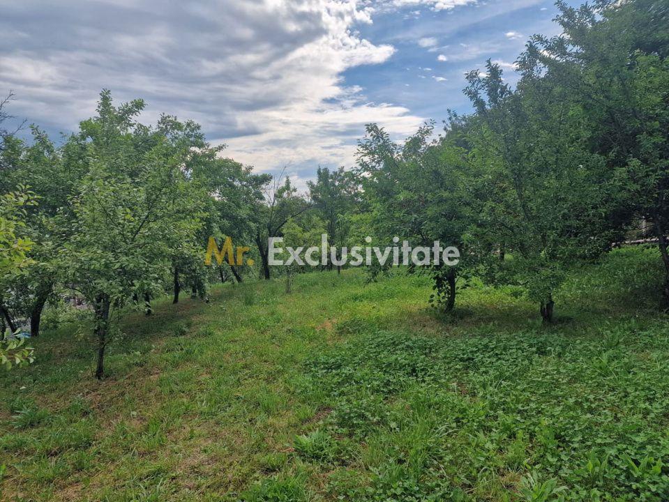 Teren intravilan 1400 mp - Albota ! - 6