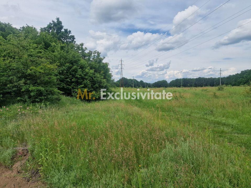 Teren extravilan Pitesti - str. Balotesi!! - 9