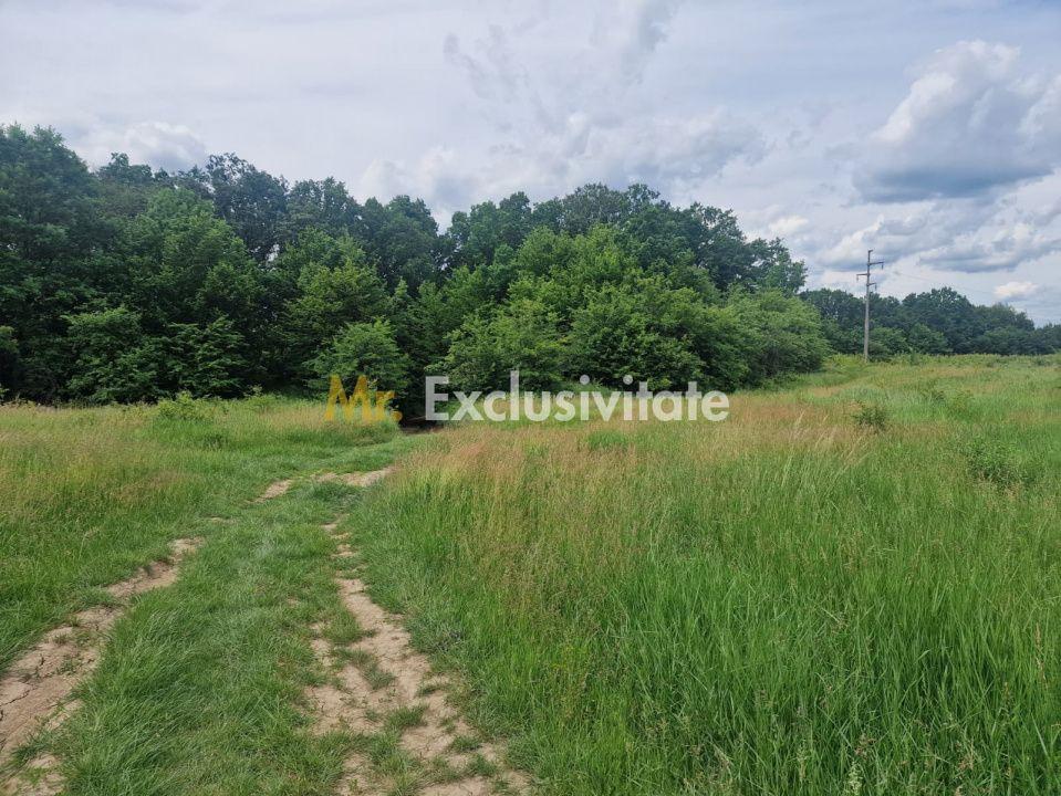 Teren extravilan Pitesti - str. Balotesi!! - 4