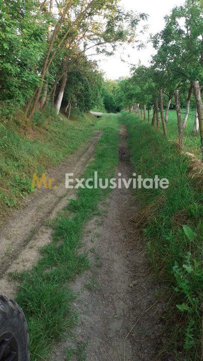 Teren extravilan Pitesti - str. Balotesi!! - 5