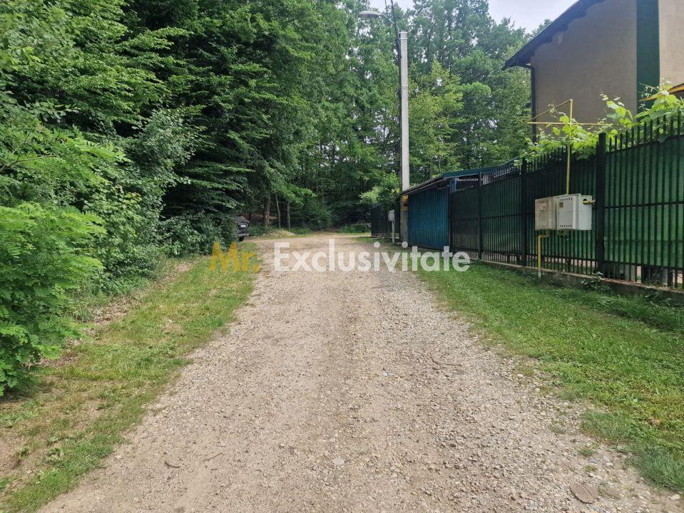 Teren extravilan Pitesti - str. Balotesi!! - 2