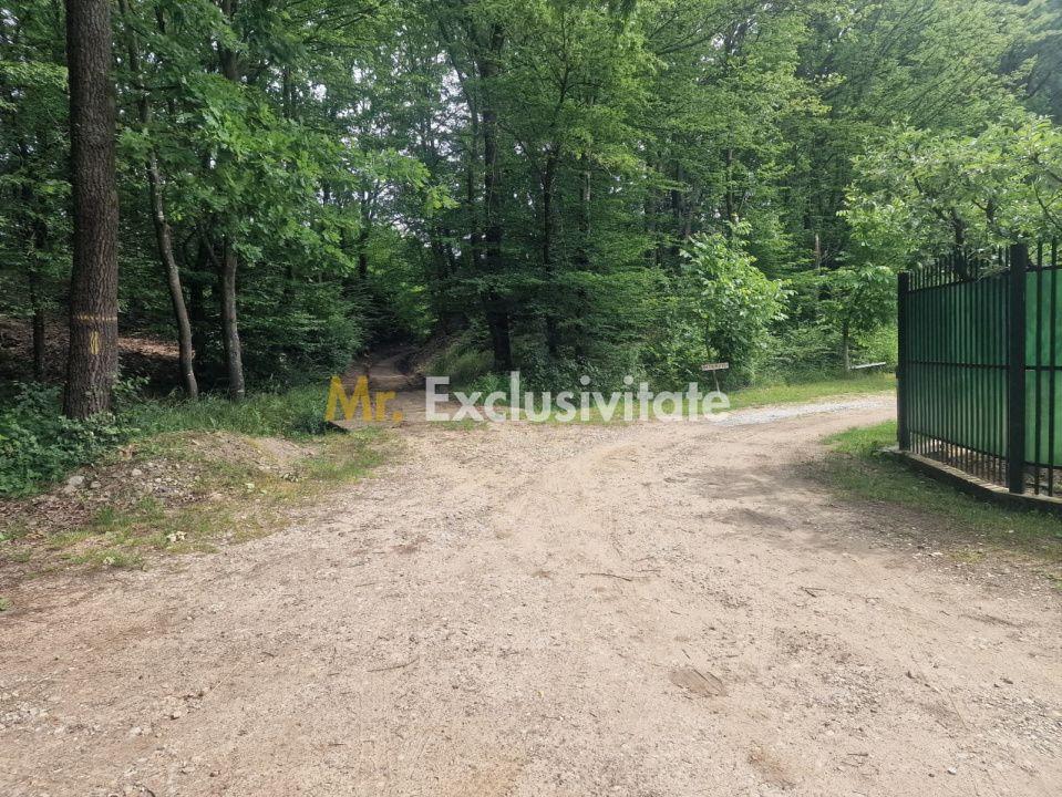 Teren extravilan Pitesti - str. Balotesi!! - 3