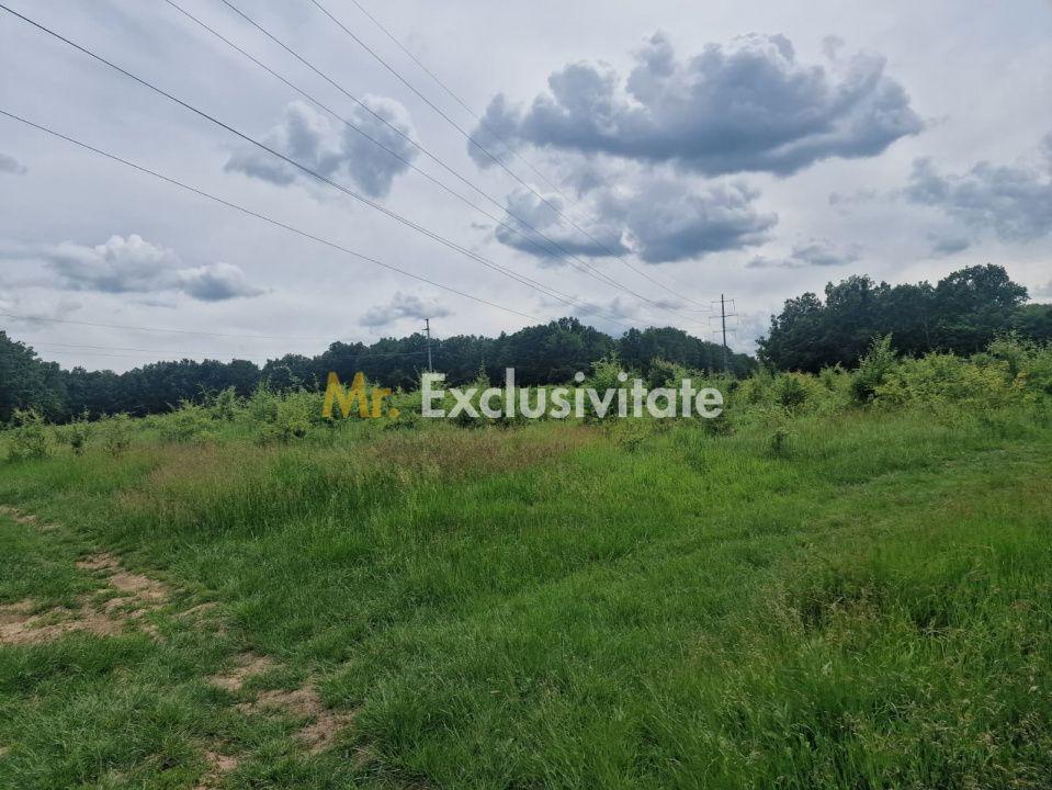 Teren extravilan Pitesti - str. Balotesi!! - 7