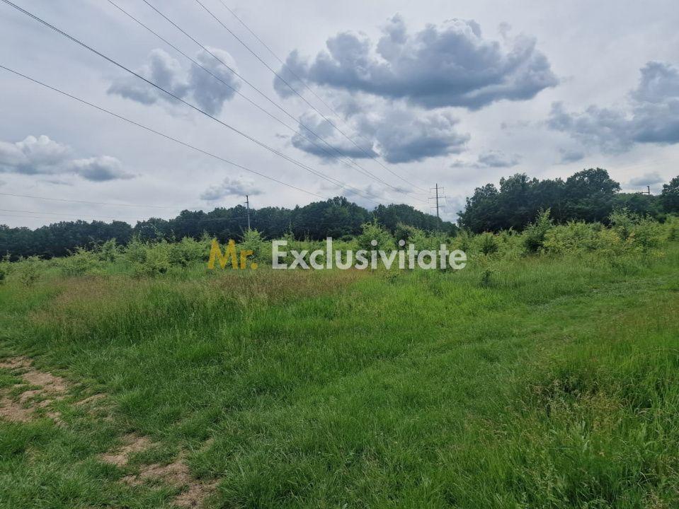 Teren extravilan Pitesti - str. Balotesi!! - 10