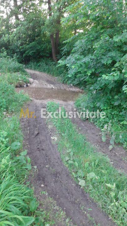 Teren extravilan Pitesti - str. Balotesi!! - 6