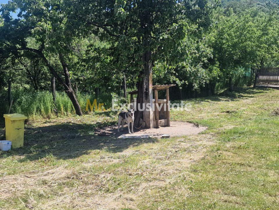 Proprietate în Comuna Botești, Județul Argeș – Zonă Pitorească și Liniștită ! - 20