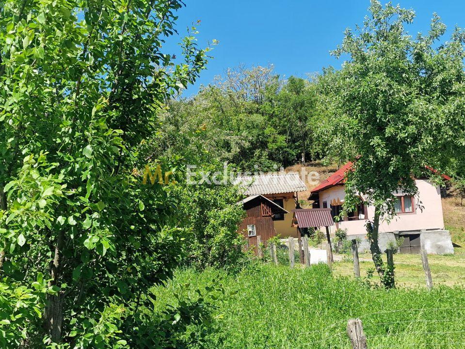 Proprietate în Comuna Botești, Județul Argeș – Zonă Pitorească și Liniștită ! - 3