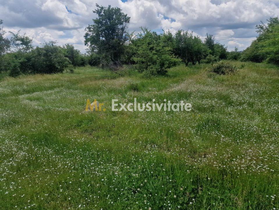 0% Comision!!! Teren intravilan Smeura - str Prunilor! - 5