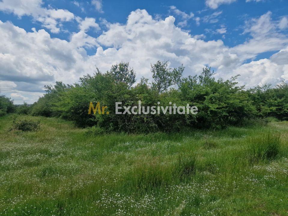 0% Comision!!! Teren intravilan Smeura - str Prunilor! - 8
