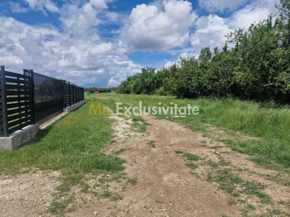 0% Comision!!! Teren intravilan Smeura - str Prunilor! - 4