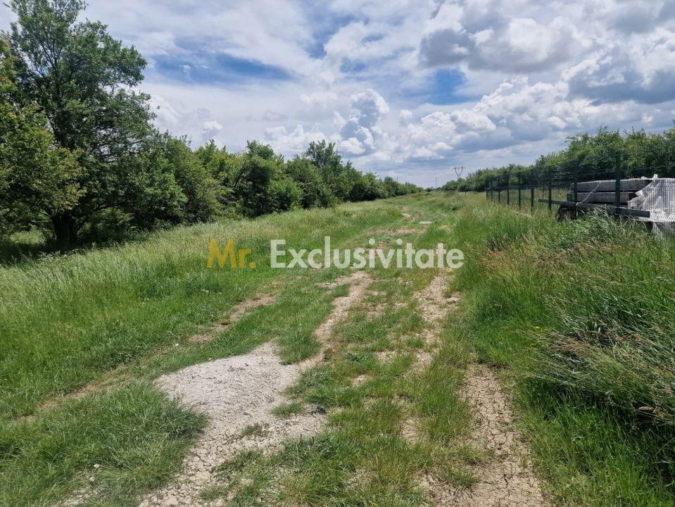0% Comision!!! Teren intravilan Smeura - str Prunilor! - 6